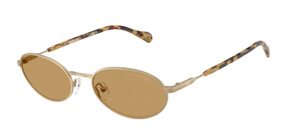 Occhiali da sole Emporio Armani Uomo 217530027354 - 217530027354